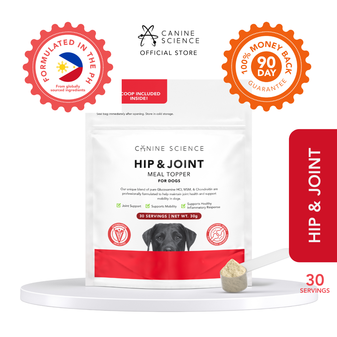 Hip & Joint