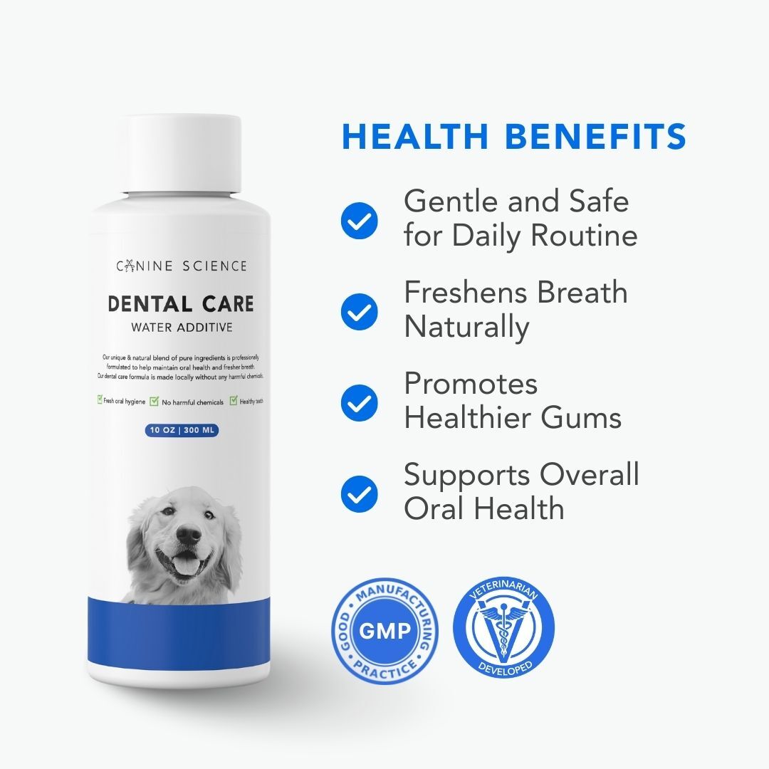 Dental Care – Canine Science