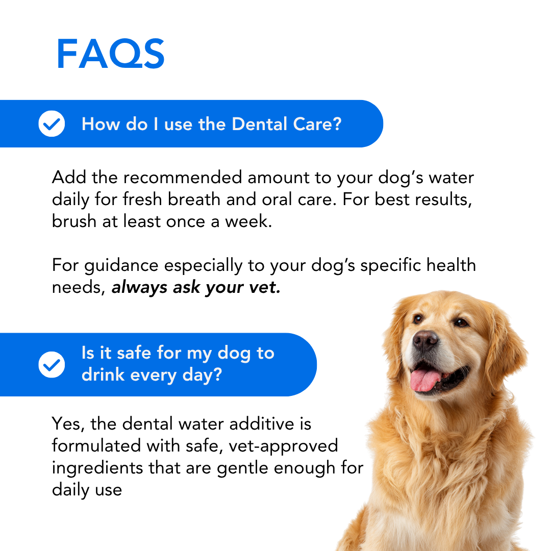 Dental Care