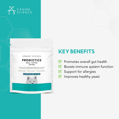 Probiotics & Joint Bundle