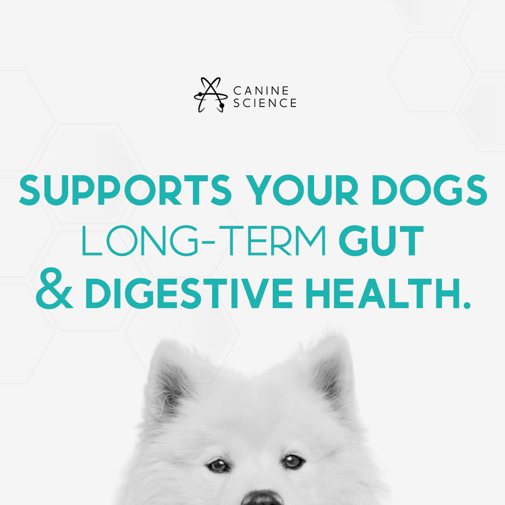 Probiotics Canine Science