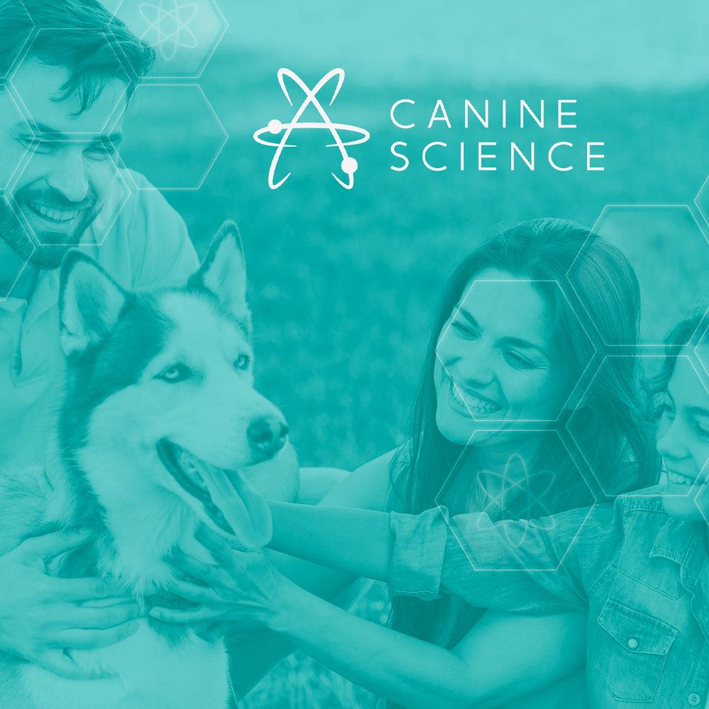 Probiotics For Canine Line Disease photo