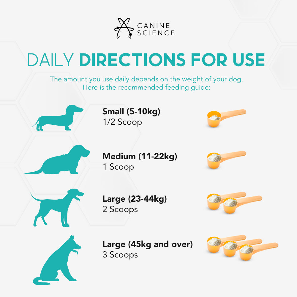 Illustration of Probiotics And Pet Nutrition Research